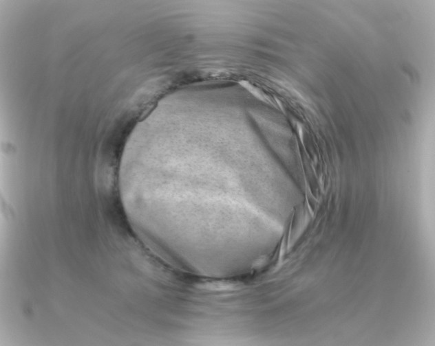 X0000090880417200708101348