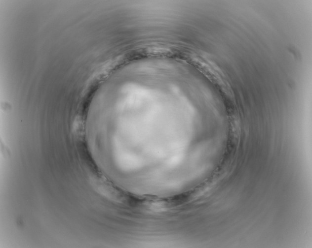 X0000090880419200708101348