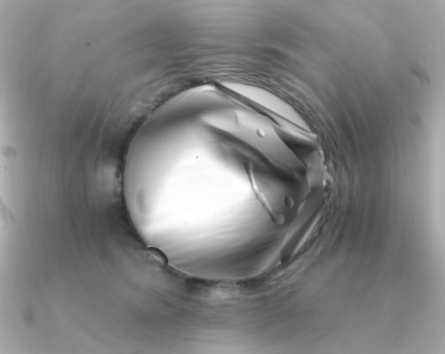 X0000090880420200708101348