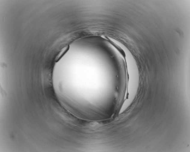 X0000090880421200708101348