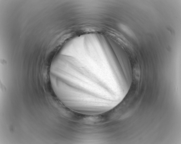 X0000090880422200708101348