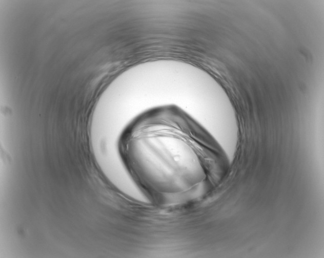 X0000090880423200708101348