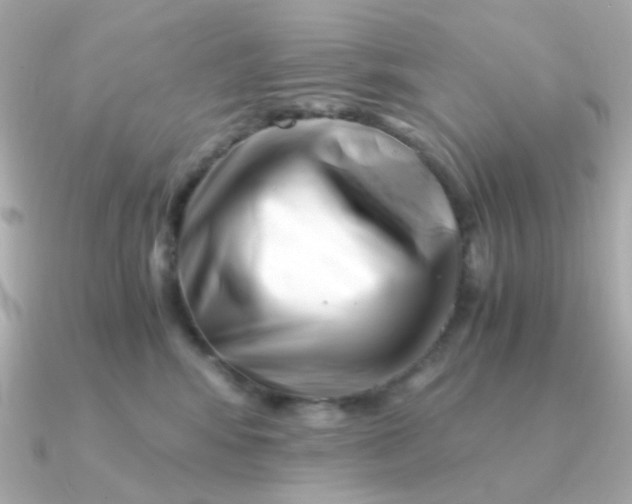 X0000090880424200708101348