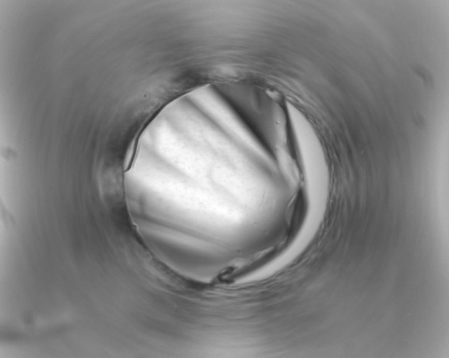 X0000090880425200708101348