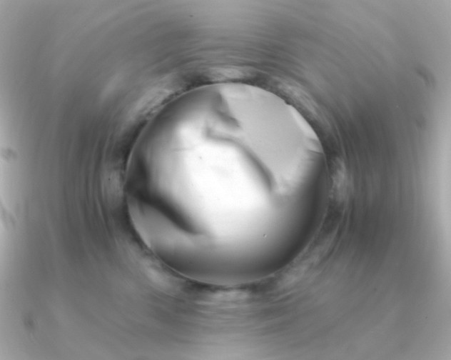 X0000090880426200708101348