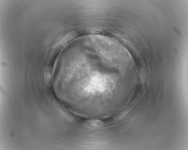 X0000090880427200708101348