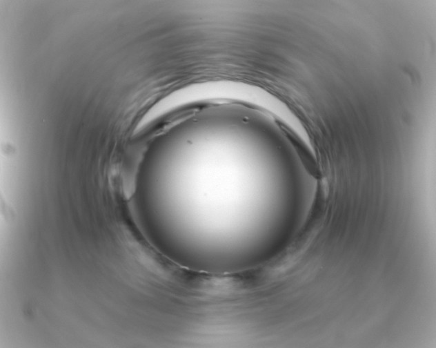 X0000090880428200708101348