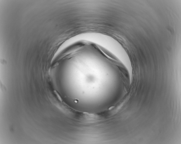 X0000090880429200708101348