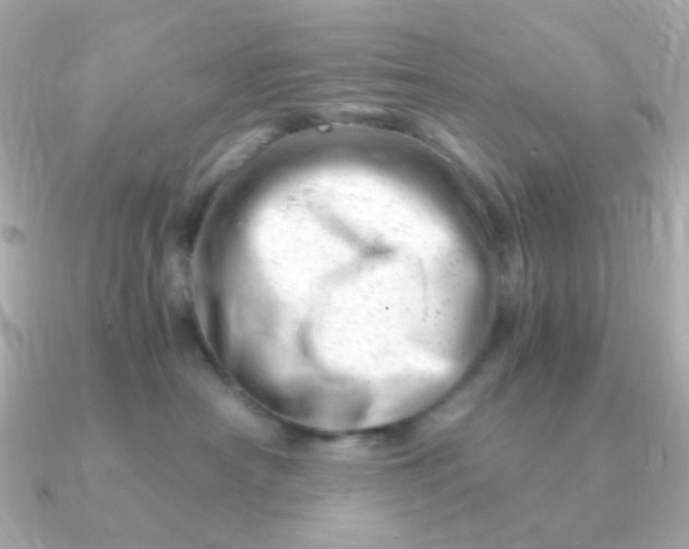 X0000090880430200708101348