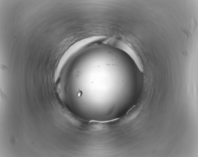 X0000090880432200708101348