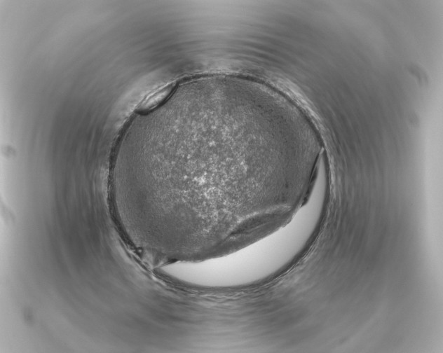 X0000090880434200708101347