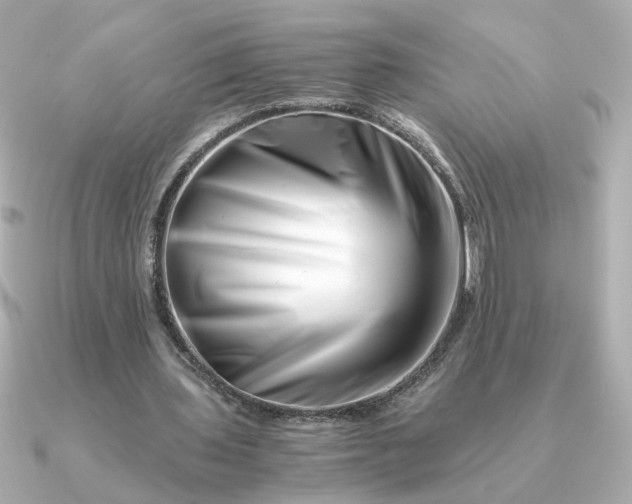 X0000090880435200708101347