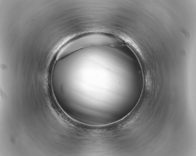 X0000090880436200708101347