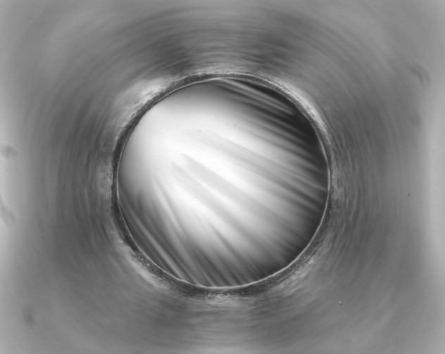 X0000090880437200708101347