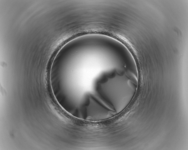 X0000090880439200708101347