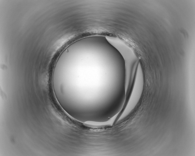 X0000090880440200708101347