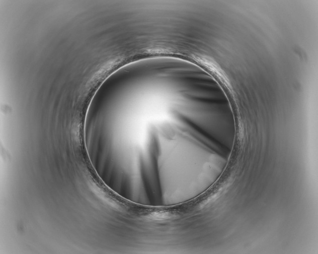 X0000090880441200708101347