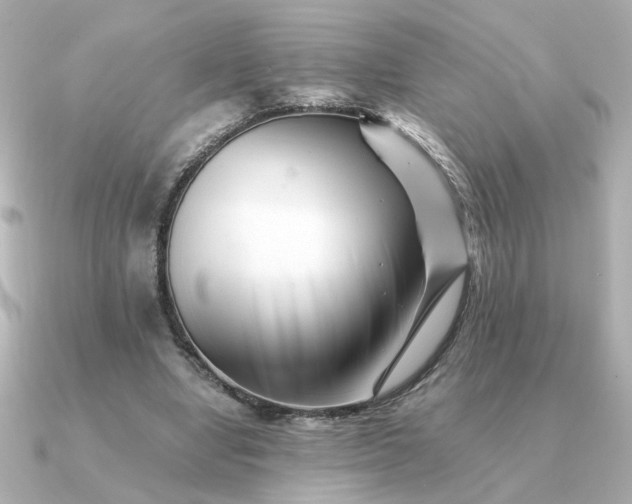 X0000090880442200708101347