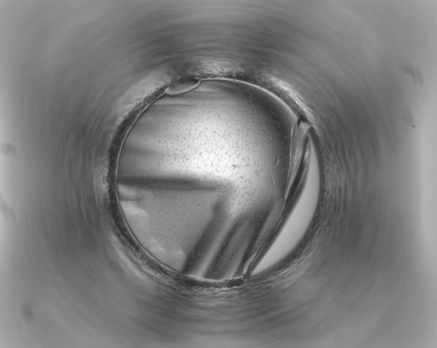 X0000090880443200708101347