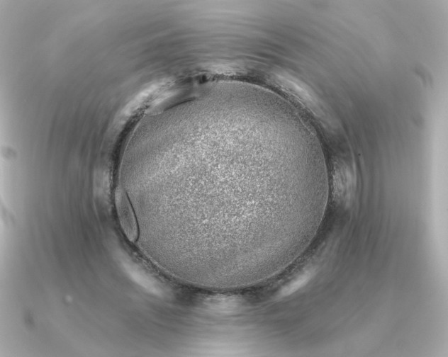 X0000090880444200708101347