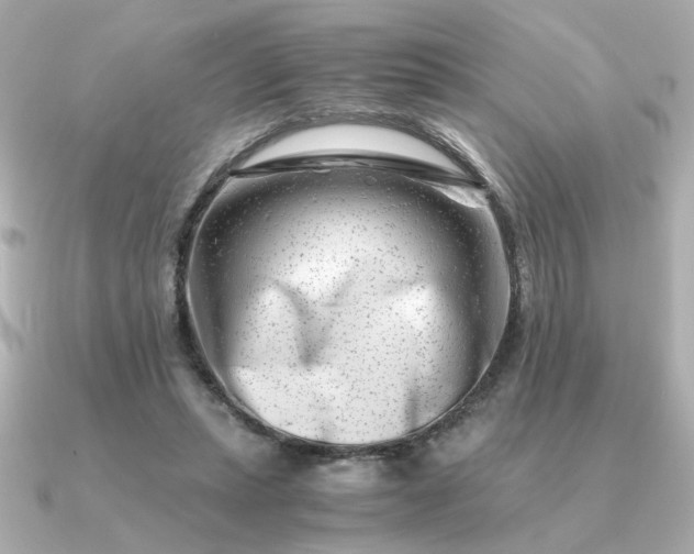 X0000090880447200708101347