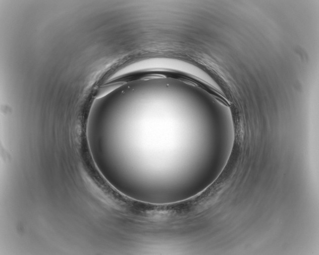 X0000090880448200708101347