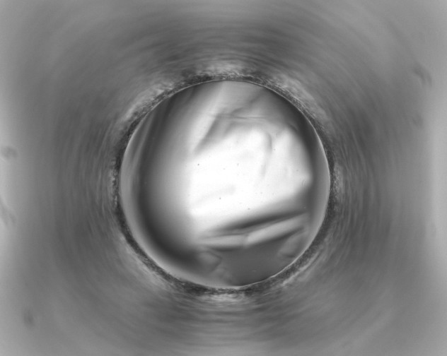 X0000090880449200708101347