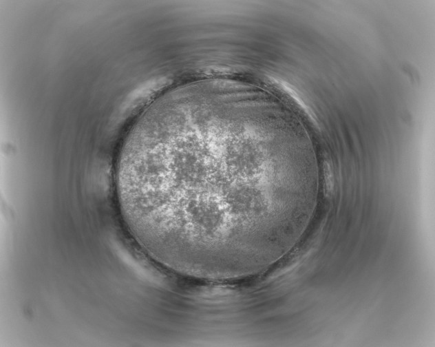 X0000090880451200708101347