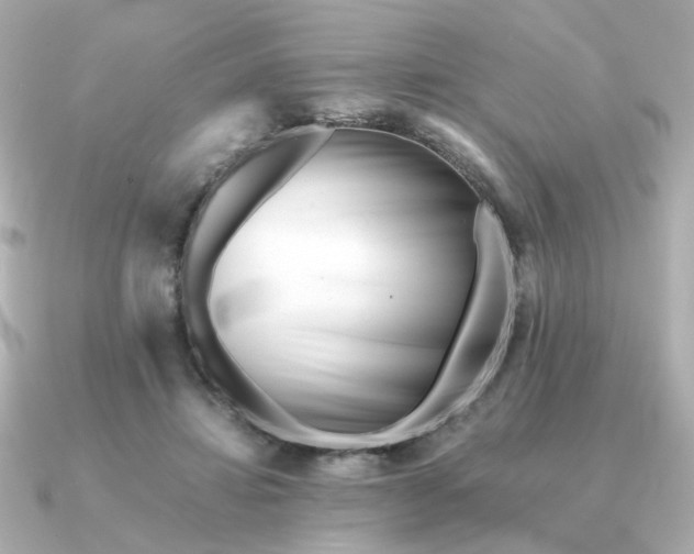 X0000090880452200708101347