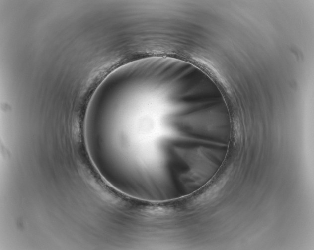 X0000090880453200708101347