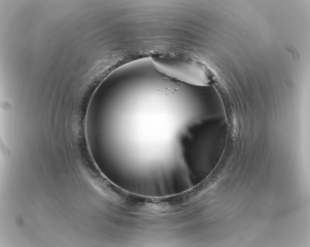 X0000090880455200708101347