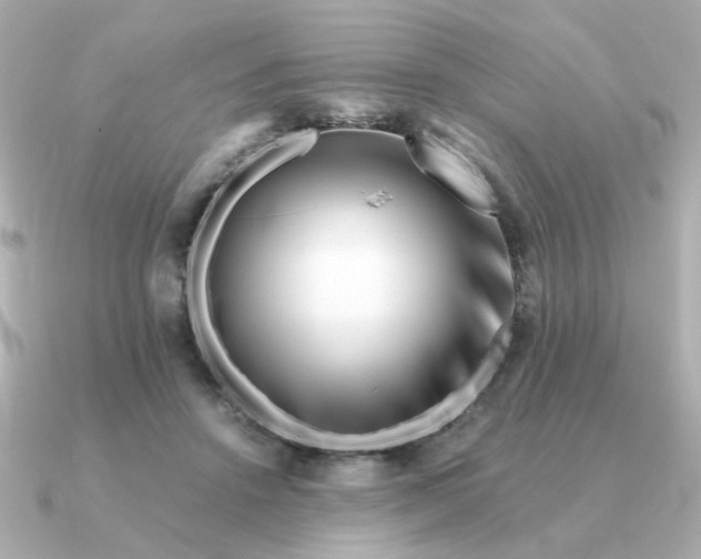 X0000090880456200708101347