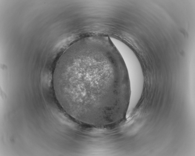 X0000090880458200708101347