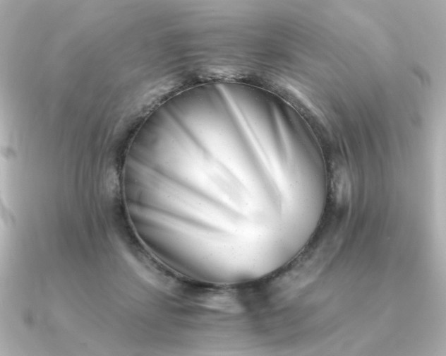 X0000090880459200708101347