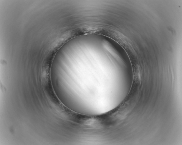 X0000090880460200708101347