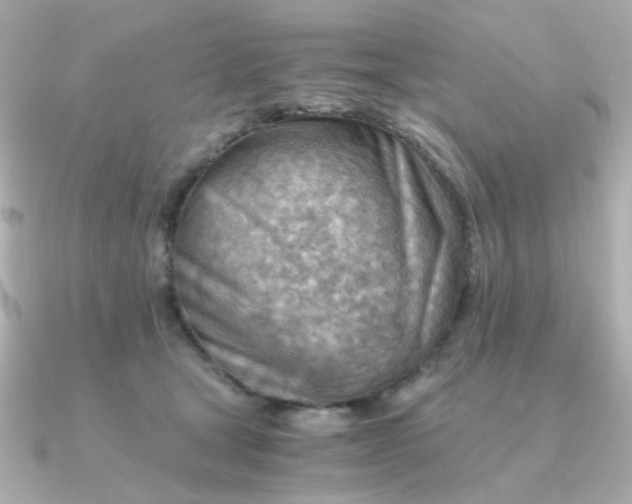 X0000090880465200708101348