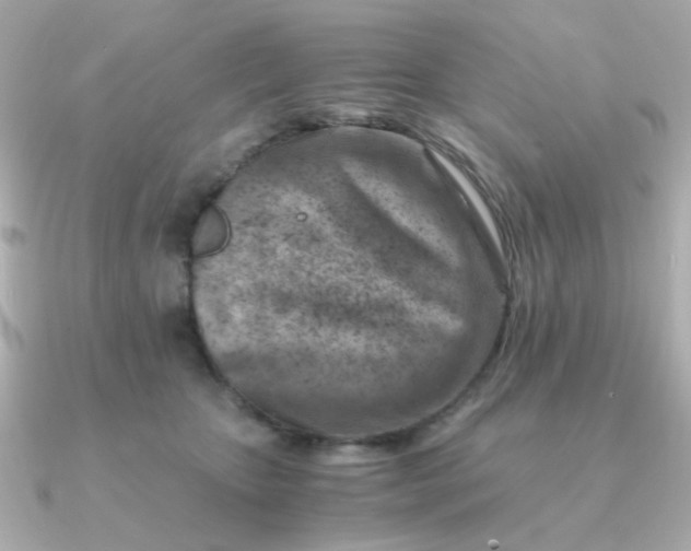 X0000090880467200708101348