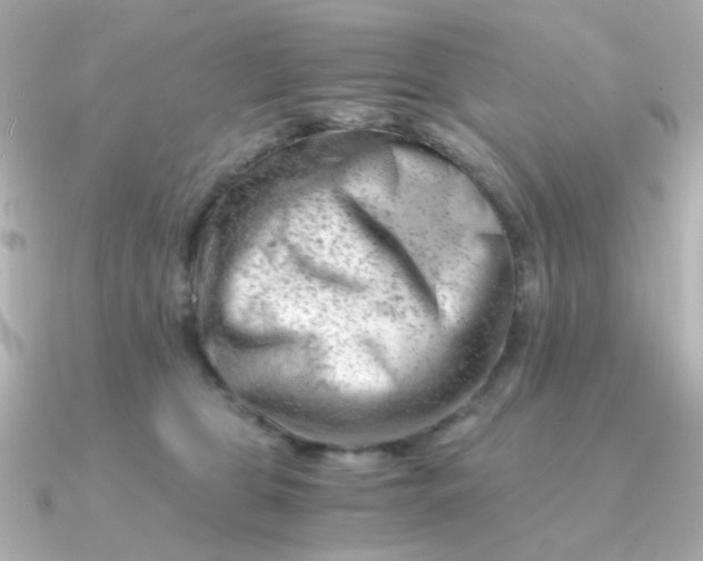 X0000090880469200708101348