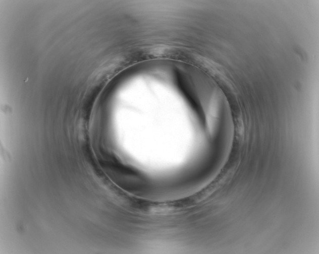 X0000090880470200708101348