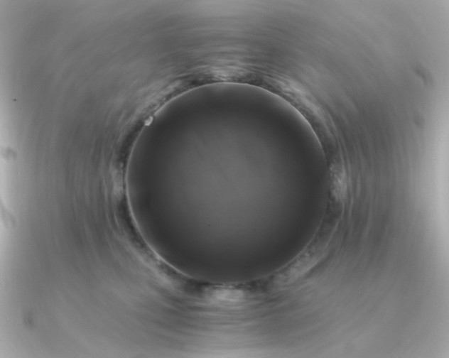 X0000090880471200708101348