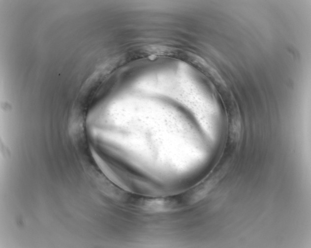 X0000090880473200708101348