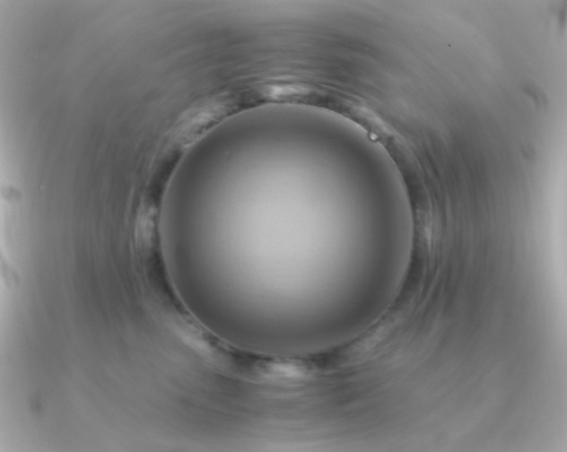 X0000090880475200708101348