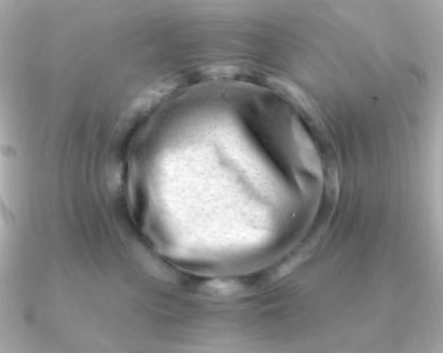 X0000090880477200708101348