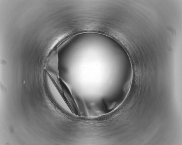 X0000090880482200708101347