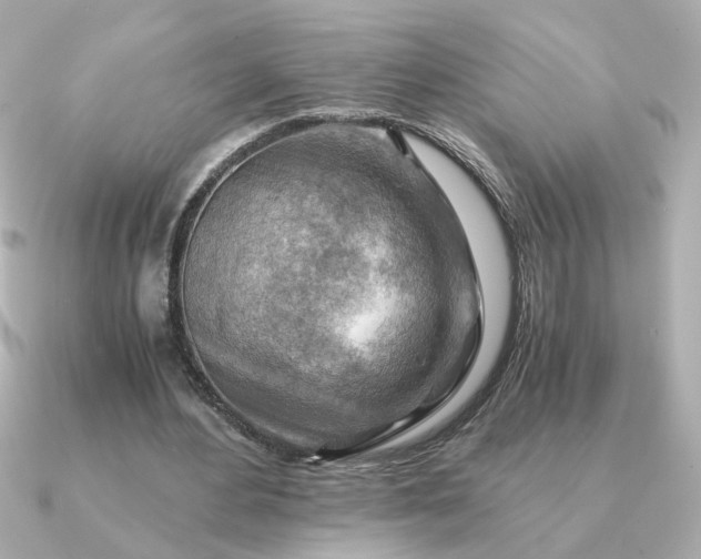 X0000090880484200708101347