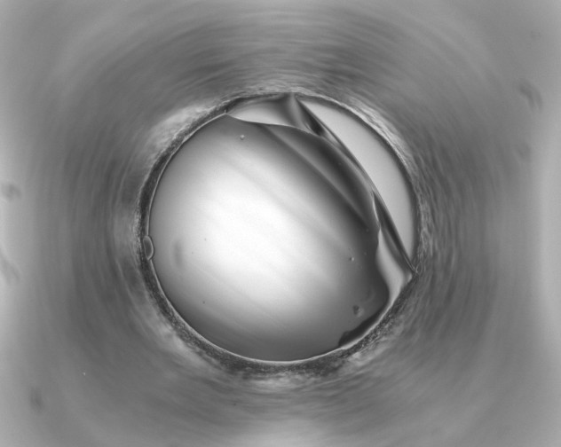 X0000090880485200708101347