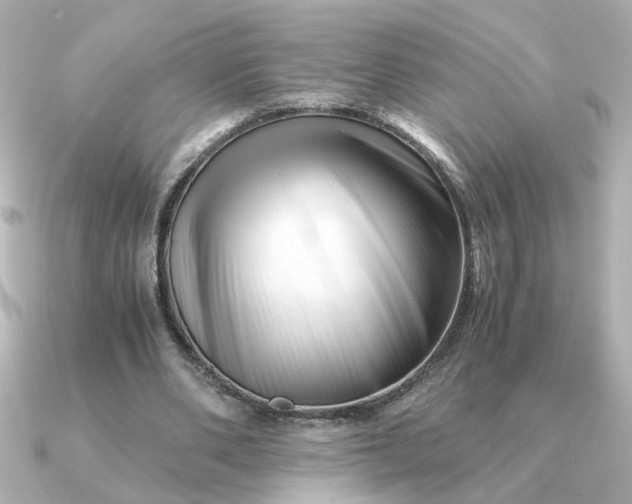 X0000090880486200708101347