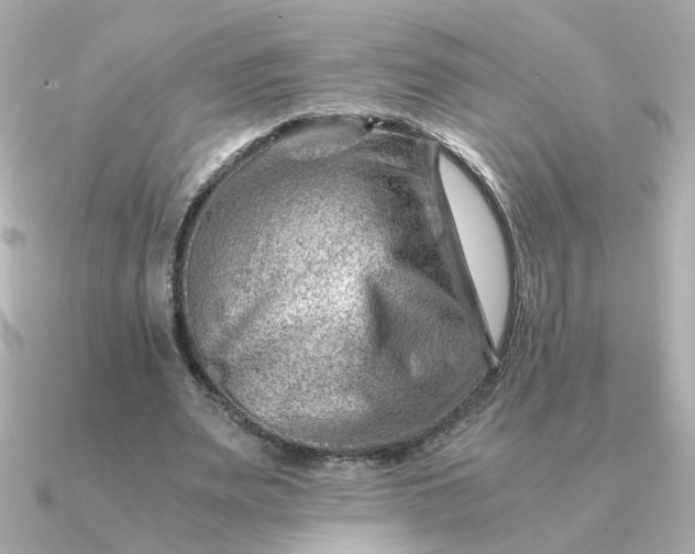 X0000090880487200708101347