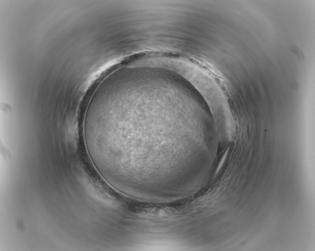 X0000090880488200708101347