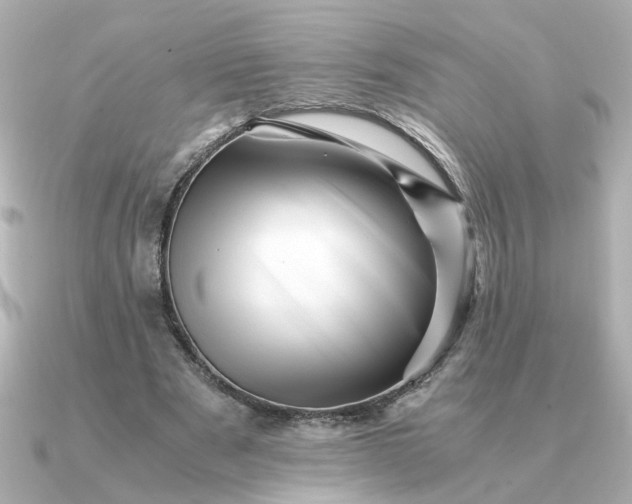 X0000090880489200708101347